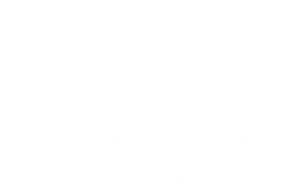 Dark Duck Agency
